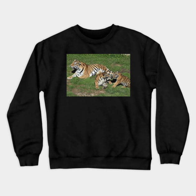 Tigers Crewneck Sweatshirt by MarieDarcy